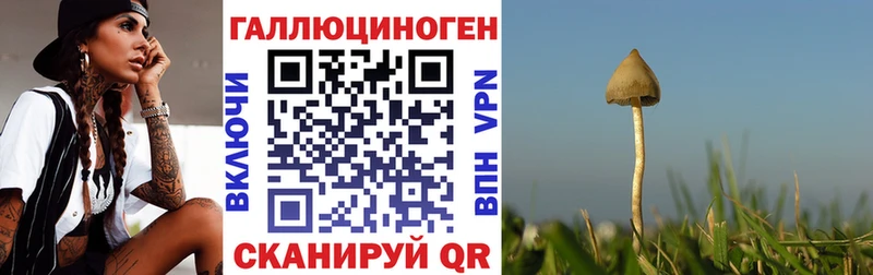 гидра ссылка Заполярный Галлюциногенные грибы прущие грибы